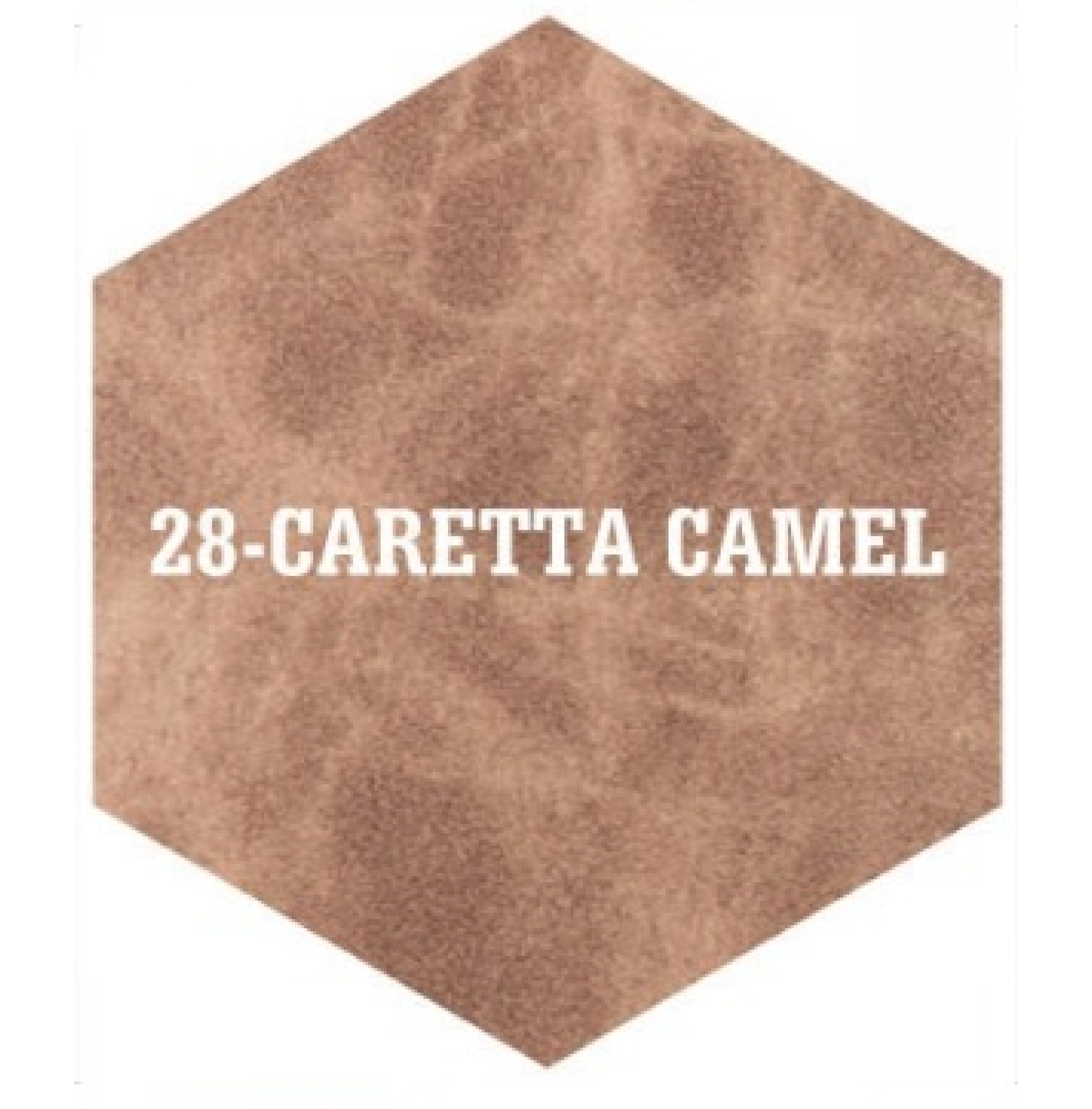 28-CARETTA CAMEL